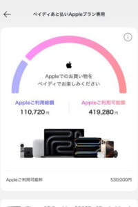 ペイディアップル枠の利用可能額